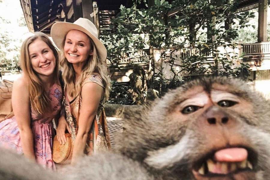 BALI :Sanctuary Monkey forest, rice terrace Water temple - Tegalalang rice terraces: the views are iconic, so manage your expectations