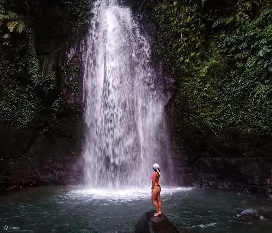 BALI :Sanctuary Monkey forest, rice terrace Water temple - Ulu Petanu waterfall: clear water, village energy, and one easy mistake