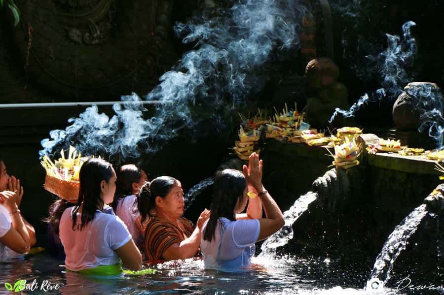 BALI :Sanctuary Monkey forest, rice terrace Water temple - Coffee plantation tour: the process matters, not just the tasting