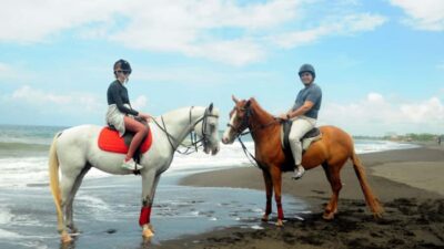 Bali: Sanur Horse Riding for Beginner Experience - Getting started: Meeting point, how check-in feels, and what you’ll wear
