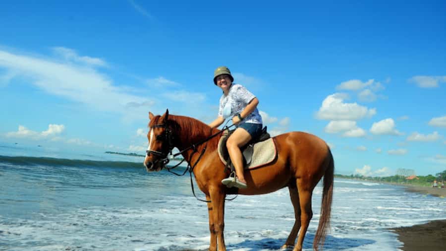 Bali: Sanur Horse Riding for Beginner Experience - Price and value: Is $35 a good deal for Bali horse riding?