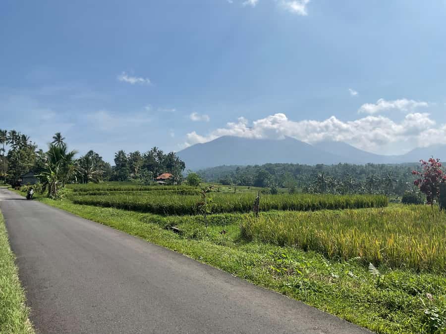 Bali Scooter Tour With Tour Guide - Comfort, Clothing, and Safety Rules You Shouldn’t Ignore