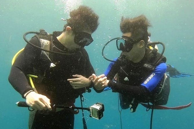 Bali Scuba Diving at Nusa Penida Manta Point For Certified Diver - Manta Point: the best chance, with real-world odds