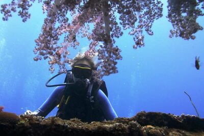 Bali Scuba Diving trip at Tulamben for Certified Diver - The full schedule from South Bali: pickup, Tulamben travel, lunch, then a second session