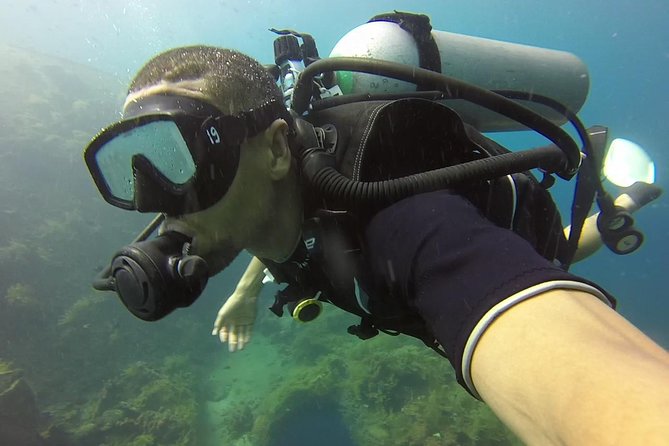 Bali Scuba Diving trip at Tulamben for Certified Diver - What you’re likely to see around the USS Liberty wreck