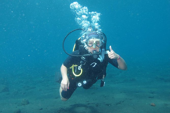 Bali Scuba Diving trip at Tulamben for Certified Diver - Price and value: what you get for about $98
