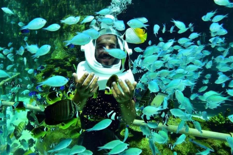 Bali: Sea Walker Watersport Nusa Dua With Hotel Transfer - Who this is best for (and who should skip it)