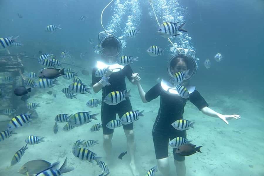 Bali: Sea Walker Watersport Nusa Dua With Hotel Transfer - The underwater walk at 3–5 meters: what you’ll actually see and do