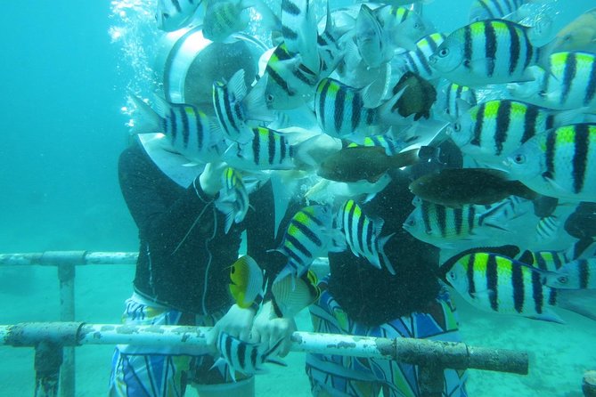 Bali Sea Walking Experience - Optional Upgrades: Uluwatu, Jimbaran Bay, and an Easy Ubud Day