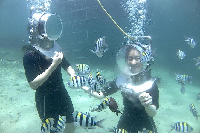 Bali Seawalker - Price and Value: Is $55 a Smart Use of Time?