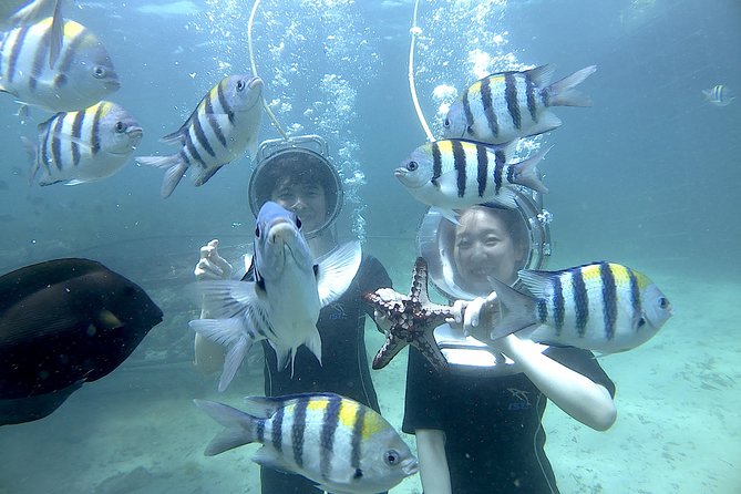 Bali Seawalker - Who This Experience Is Best For (And Who Should Skip It)