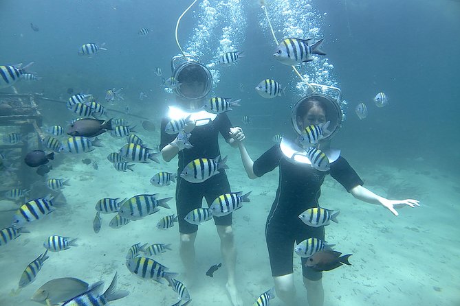 Bali Seawalker - What You’ll See in Tanjung Benoa (Coral and Fish Close to Shore)