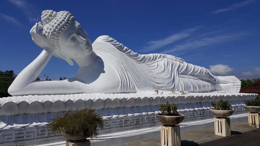 Bali: Secret and Untouristic Tour North West Bali. - Key highlights worth caring about