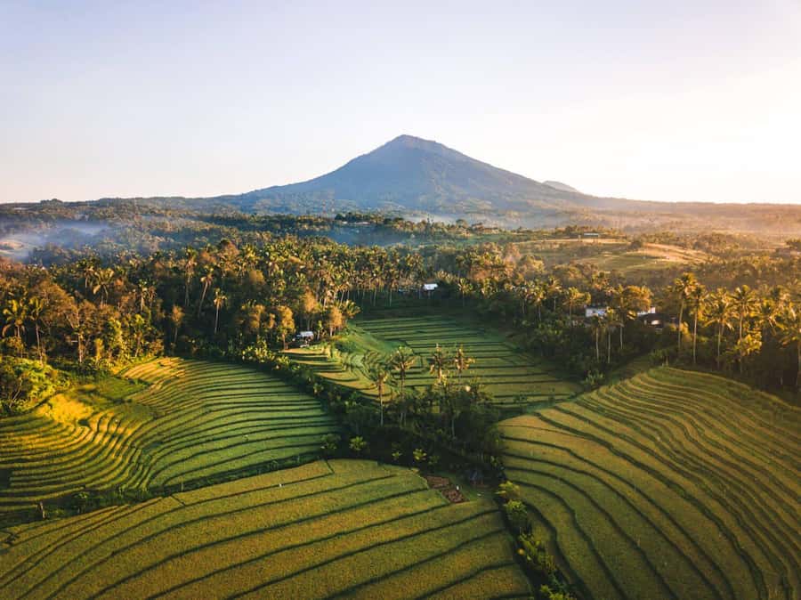 Bali: Secret and Untouristic Tour North West Bali. - North West Bali that feels local, not crowded
