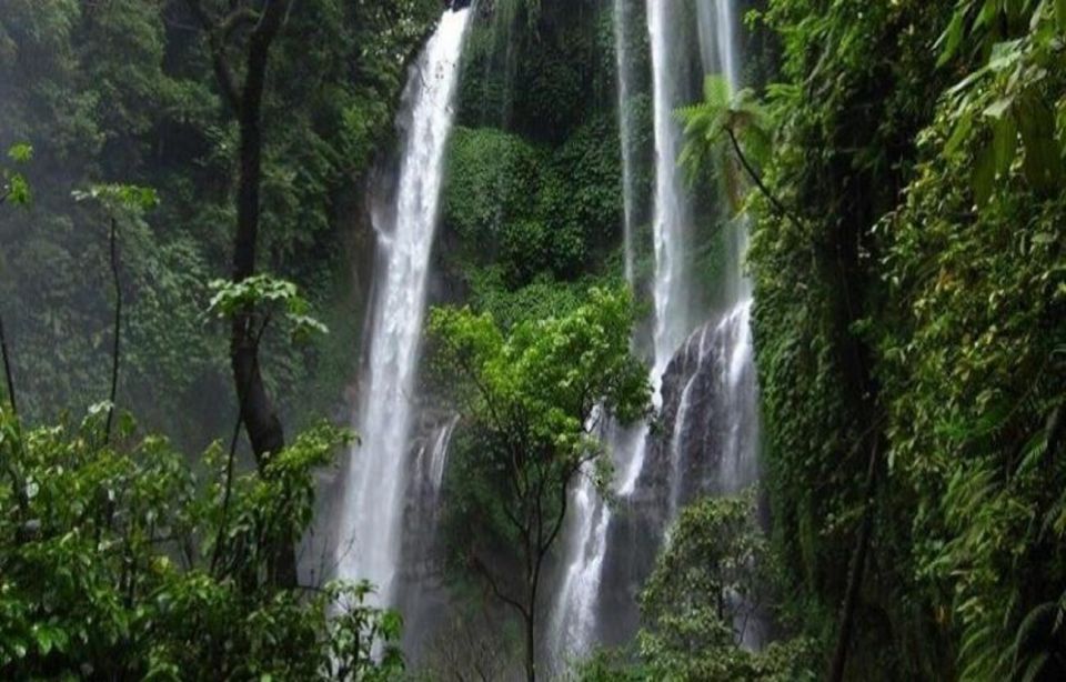 Bali: Secret and Untouristic Tour North West Bali. - Price and value: how $36 turns into a real day out