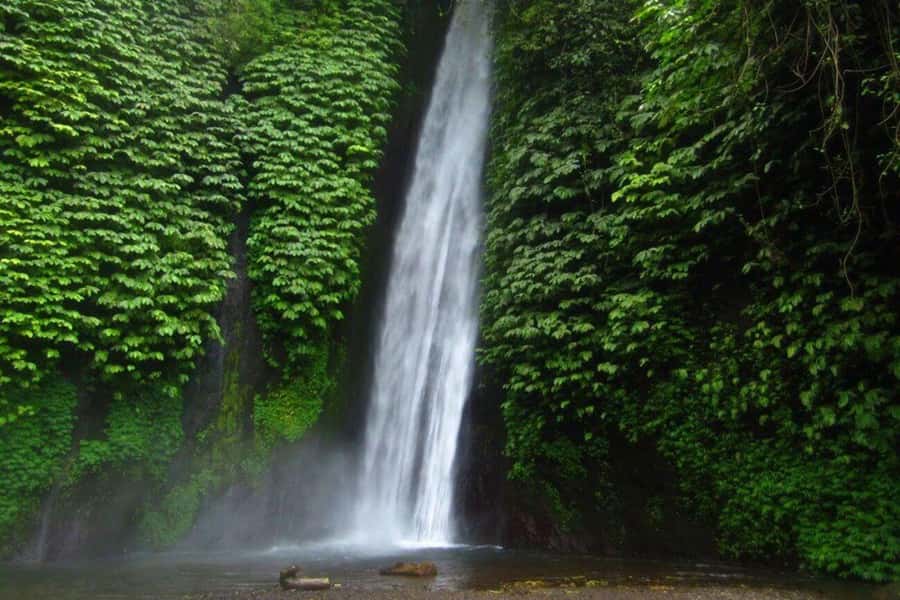Bali: Secret and Untouristic Tour North West Bali. - Packing you’ll actually use (and what not to bring)
