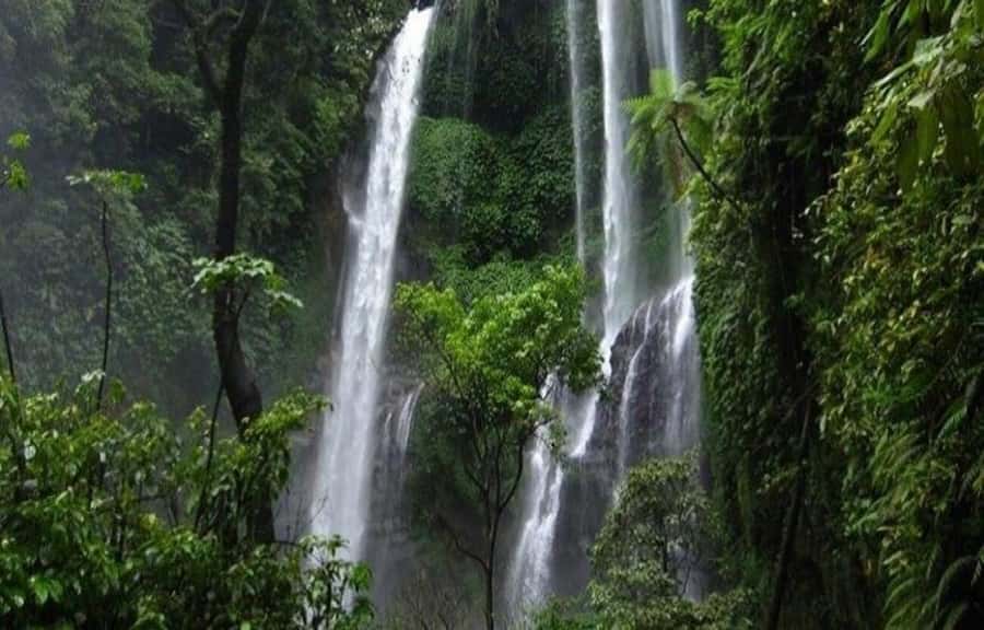 Bali: Secret and Untouristic Tour North West Bali. - Who should book this North West Bali day?