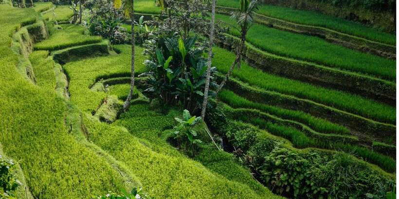 Bali: Secret Garden, Ulun Danu Temple and Waterfall Tour - How the Small Group and Guides Make the Day Feel Personal