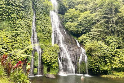 Bali Secret Waterfalls: Banyumala & Leke Leke Waterfalls - Banyumala Twin Waterfalls: A Downhill Forest Walk You’ll Feel in Your Legs