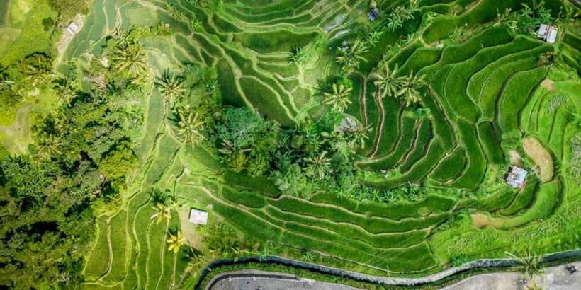 Bali Secret Waterfalls with Ulun Danu Beratan Temple Tour - Should you book it?
