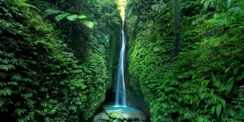Bali Secret Waterfalls with Ulun Danu Beratan Temple Tour - Why this North and West Bali day feels easier than DIY