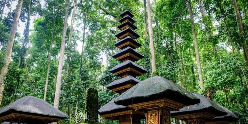 Bali Secret Waterfalls with Ulun Danu Beratan Temple Tour - Getting picked up on time, meeting the driver, and packing right