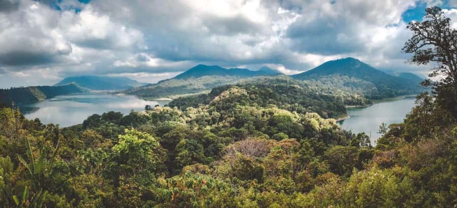 Bali: Sekumpul and Banyumala Waterfall Guided Trek - The route: long Bali drives, then walking you can actually enjoy