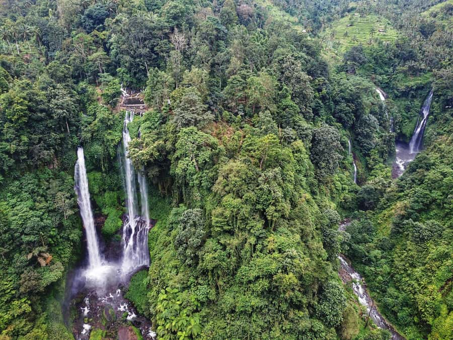 Bali: Sekumpul and Banyumala Waterfall Guided Trek - Trekking reality check: the climbs back up are the workout