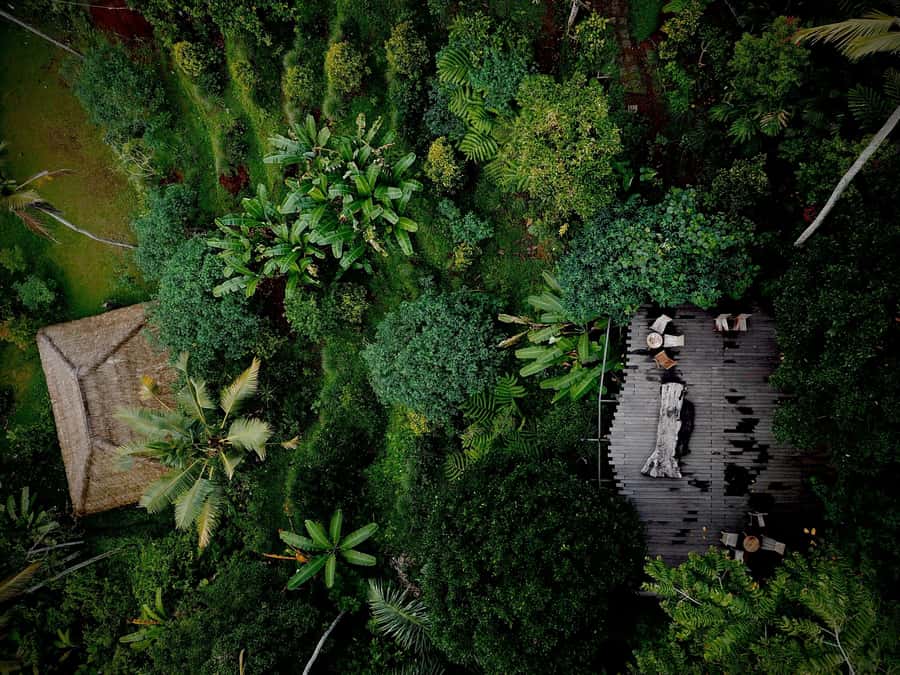 Bali: Shared or Private Highlights Ubud with Cretya Jungle - Cretya by Alas Arum: rice-terrace views and pool downtime that actually feels earned