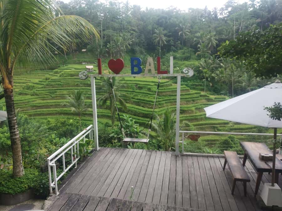 Bali: Shore Excursion for Cruises's passenger -All Inclusive - Price and value: is $60 for a Bali cruise shore tour fair?