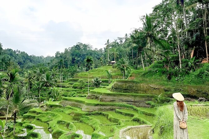 Bali Shore Excursions : Best of Bali Tour - What you’ll likely do during those 8–10 hours