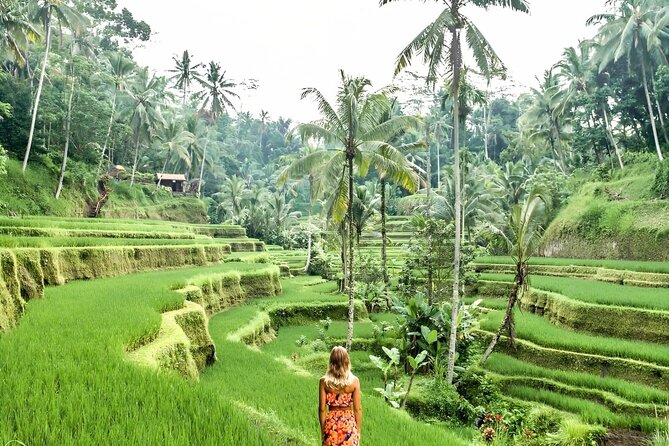 Bali Shore Excursions : Best of Bali Tour - Should you book this Best of Bali shore excursion?