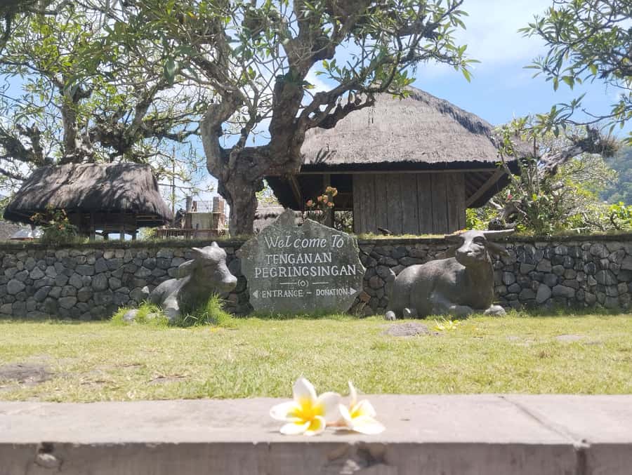 BALI SHORE EXCURSIONS: EXPLORING THE EXOTIC OF BALI - Transport That Fits Your Group Size (And Doesn’t Feel Like a Bet)