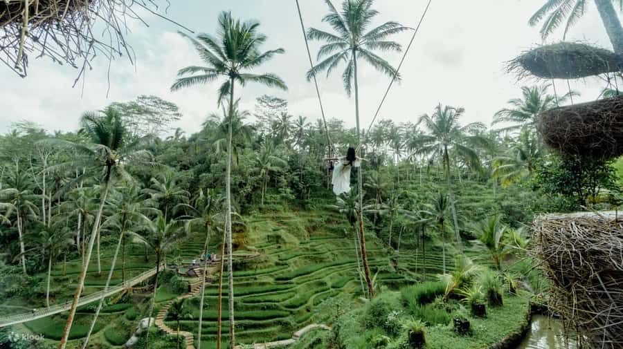 BALI SHORE EXCURSIONS: EXPLORING THE EXOTIC OF BALI - What to Bring for a Day in the Sun (And Money for the Rest)