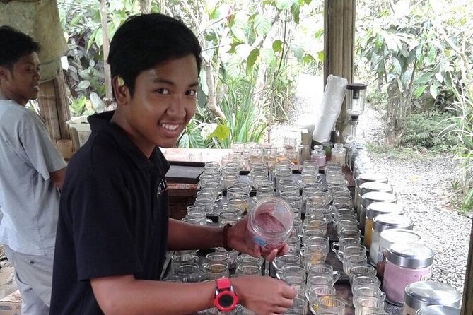 Bali Sightseeing - Sacred Monkey Forest Sanctuary: time with long-tailed macaques