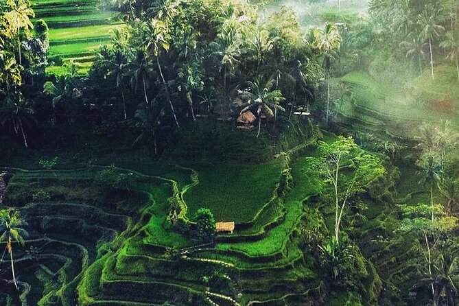 Bali Sightseeing - Coffee and herbal beverages at Satria Agrowisata