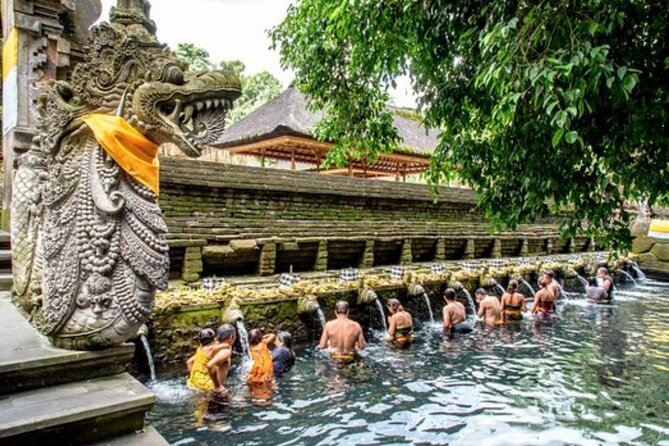 Bali Sightseeing Tour - Traditional village - Waterfall - Stop 3: Penglipuran Bamboo Forest walk (30 minutes, good payoff)