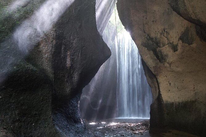 Bali Sightseeing Tour - Traditional village - Waterfall - Private pickup and transportation: the real value of paying $54