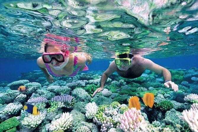 Bali Snorkeling at Blue Lagoon and Tanjung Jepun with Transfer - Key Points You’ll Actually Care About