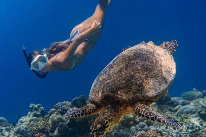 Bali Snorkeling at Blue Lagoon and Tanjung Jepun with Transfer - Price and Value: Why $22 Can Work (If You Want the Bundle)