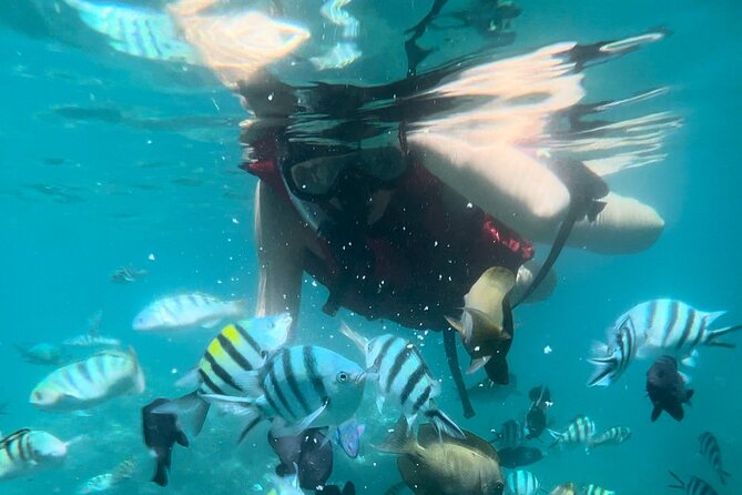 Bali Snorkeling at Blue Lagoon with Waterfall Include Lunch - A Seminyak day trip that actually feels private