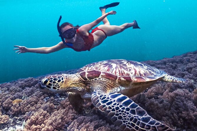 Bali Snorkeling at Blue Lagoon with Waterfall Include Lunch - Blue Lagoon beach: calm water, big fish energy, and maybe a turtle sighting