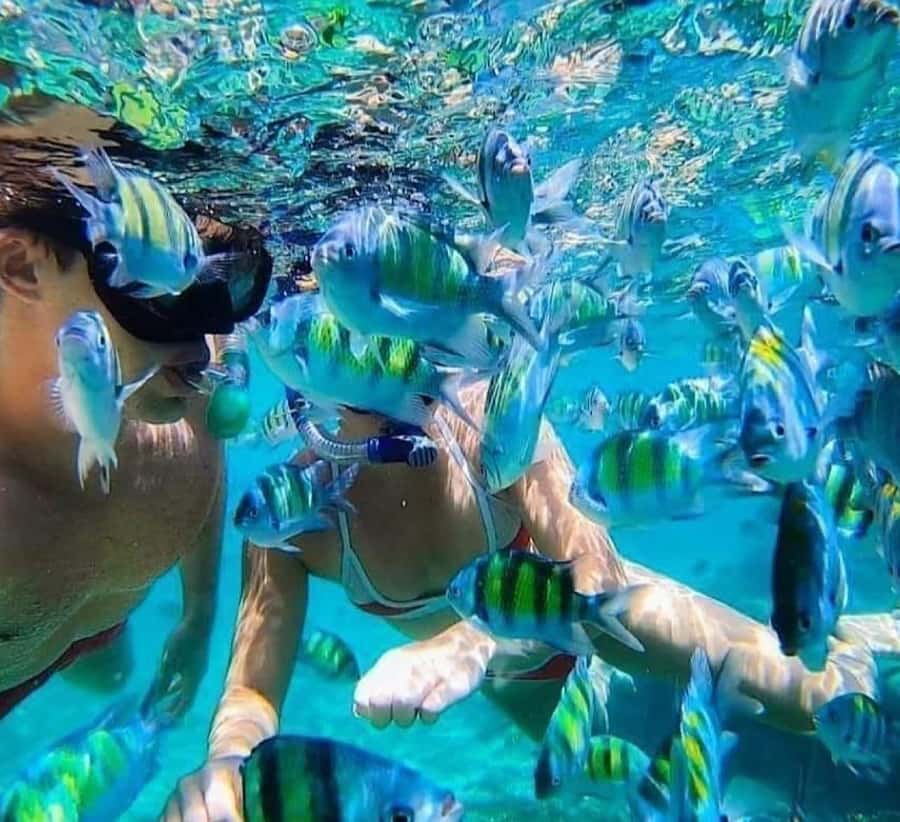 Bali : Snorkeling at two Spots with Lunch and transport - Should You Book This Tour?