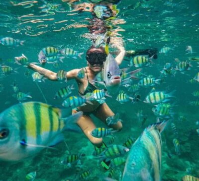 Bali : Snorkeling at two Spots with Lunch and transport - Blue Lagoon Snorkeling: Fish, Coral, and Turtle Chances