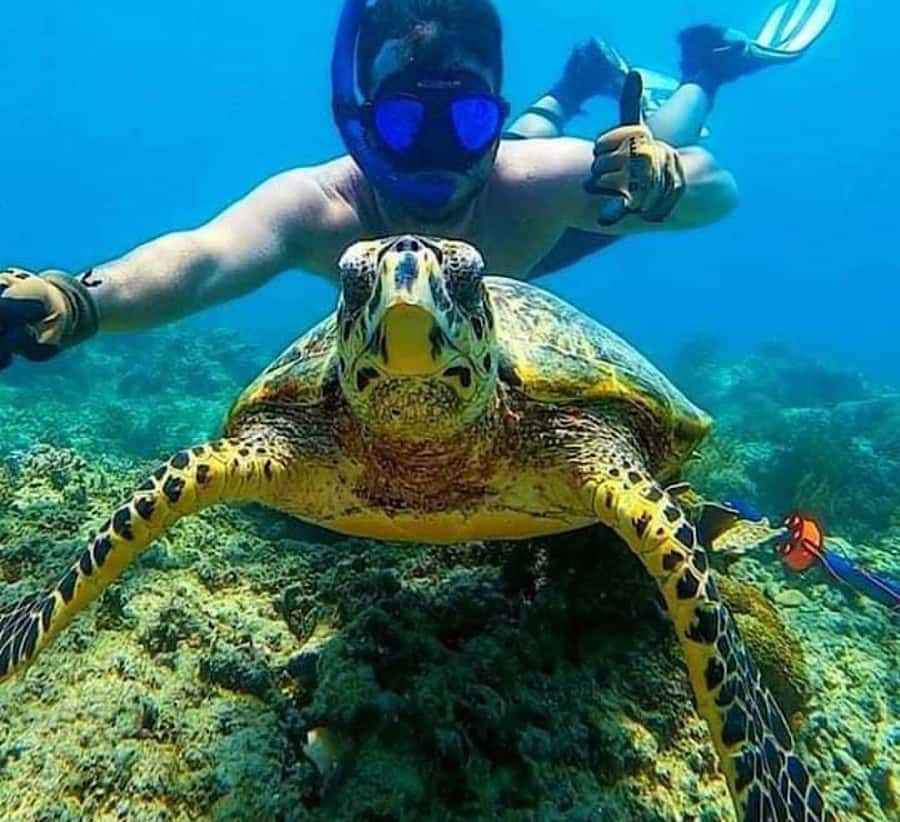 Bali : Snorkeling at two Spots with Lunch and transport - The Snorkeling Guide and Gear Setup: Why It Changes the Day