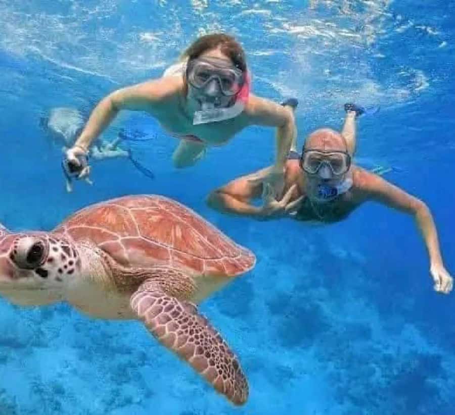 Bali : Snorkeling at two Spots with Lunch and transport - Lunch After the Snorkel: Indonesian Food and a Real Reset