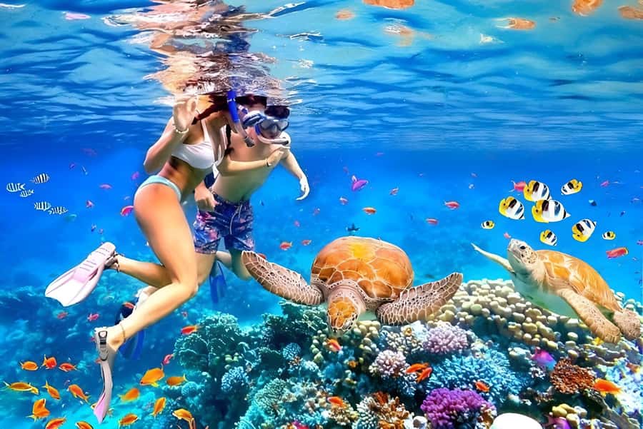 Bali: Snorkeling Blue Lagoon 2 Spot & Lunch optional Village - Key Things to Know Before You Go