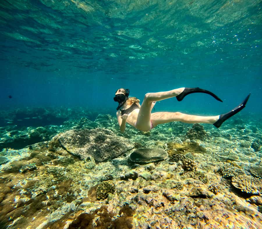 Bali: Snorkeling Blue Lagoon 2 Spot & Lunch optional Village - Two Reefs, One East-Coast Day: Blue Lagoon Bay Meets Tanjung Jepun