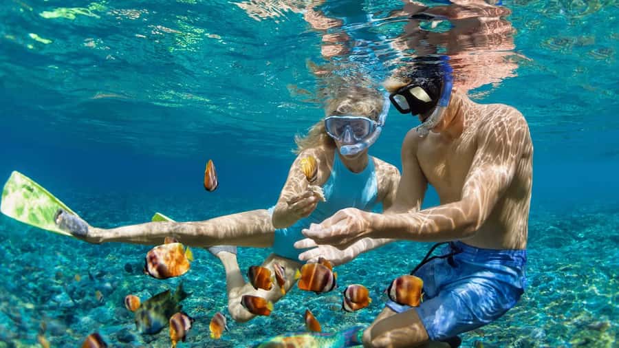 Bali Snorkeling: Blue Lagoon and Tanjung Jepun All Inclusive - Quick hits you’ll care about