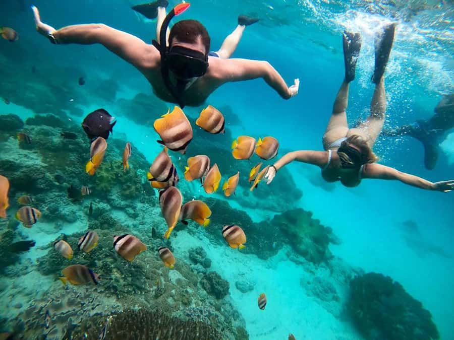 Bali Snorkeling: Blue Lagoon and Tanjung Jepun All Inclusive - Why this Bali snorkeling combo works: two spots in one day